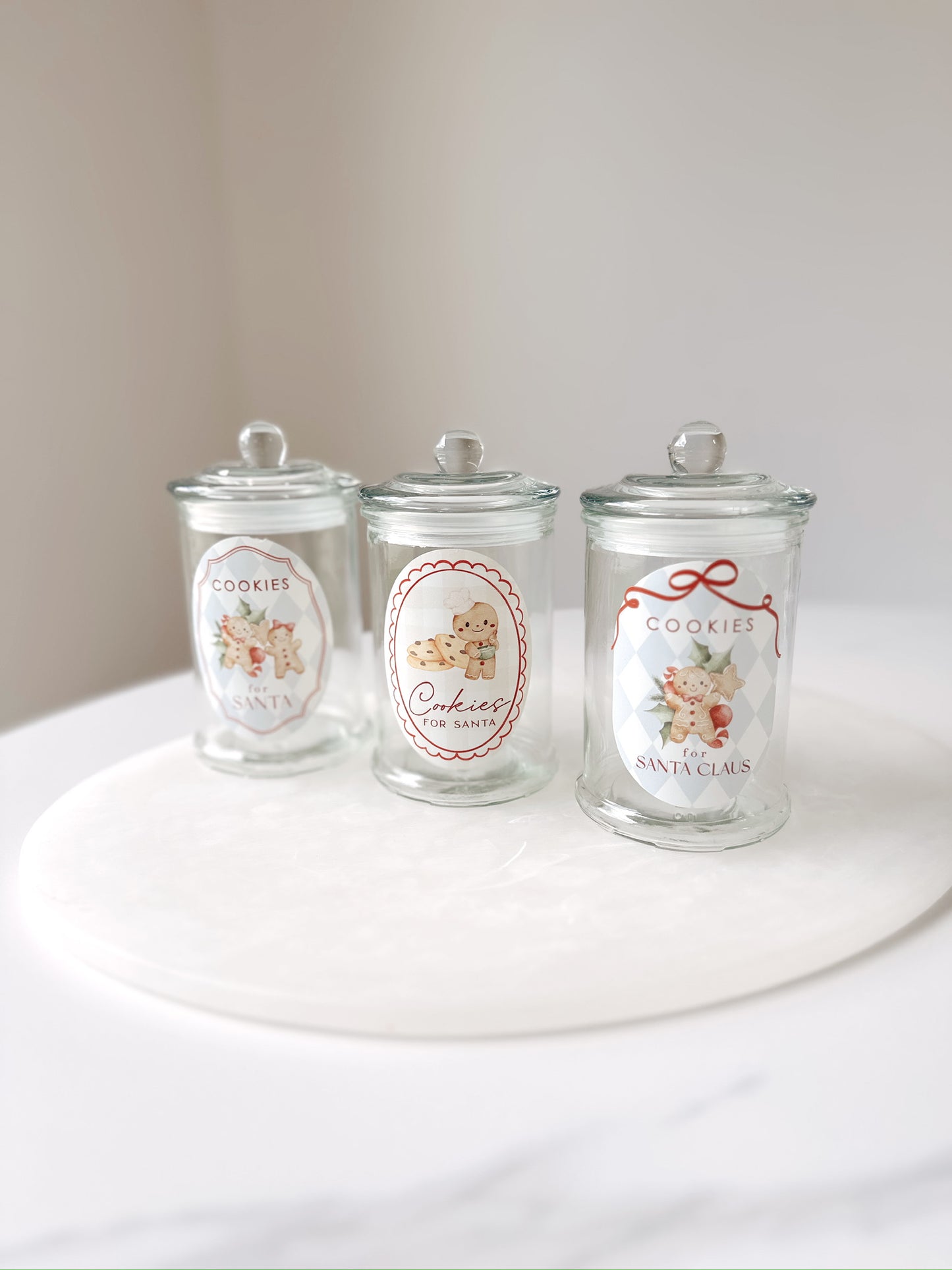 Santa Cookie Jar - Printed